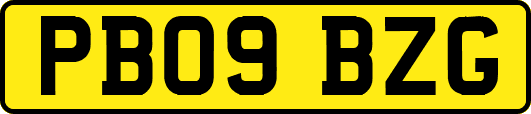 PB09BZG