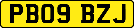 PB09BZJ