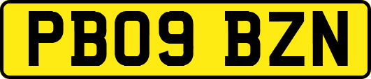 PB09BZN