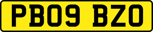 PB09BZO