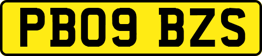 PB09BZS