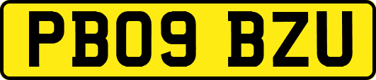 PB09BZU