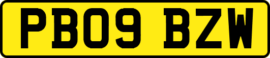 PB09BZW