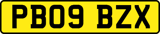 PB09BZX