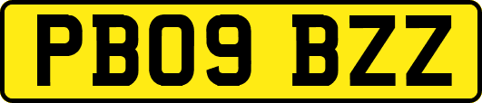 PB09BZZ