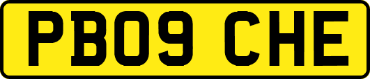 PB09CHE
