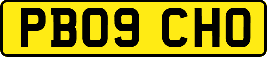 PB09CHO