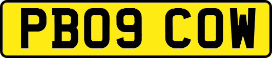 PB09COW