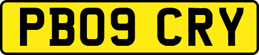 PB09CRY