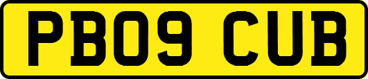 PB09CUB