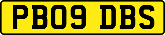 PB09DBS