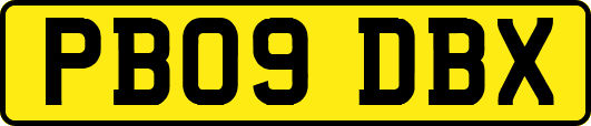 PB09DBX