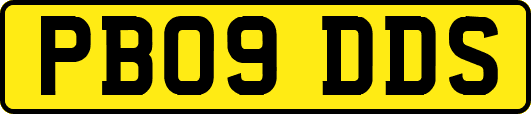 PB09DDS