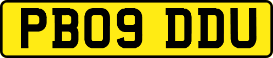 PB09DDU