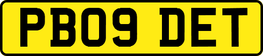 PB09DET