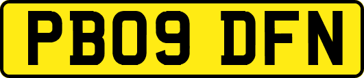 PB09DFN