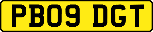 PB09DGT