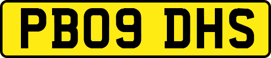 PB09DHS