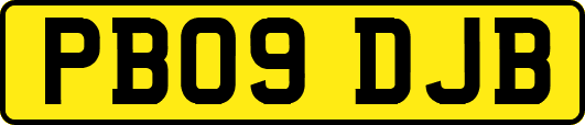 PB09DJB