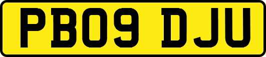 PB09DJU