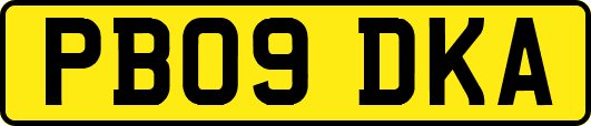 PB09DKA