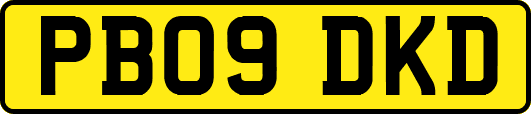 PB09DKD