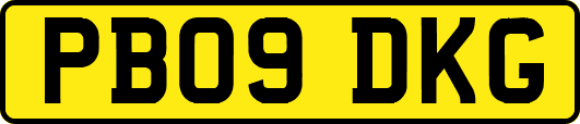 PB09DKG