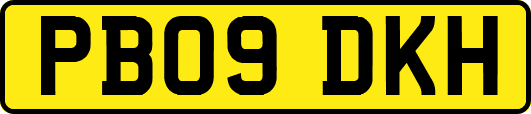 PB09DKH