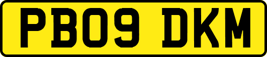PB09DKM