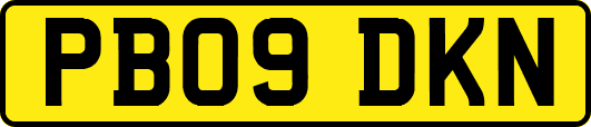 PB09DKN