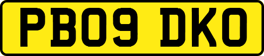 PB09DKO