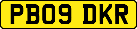 PB09DKR