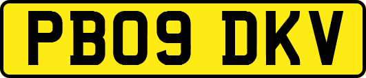 PB09DKV