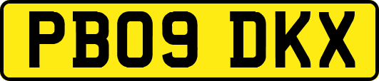 PB09DKX
