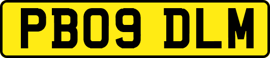PB09DLM
