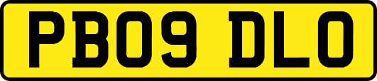 PB09DLO