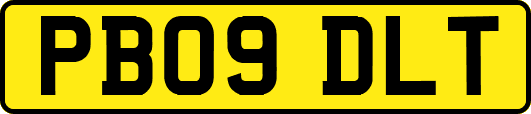 PB09DLT