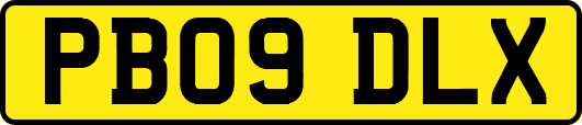 PB09DLX