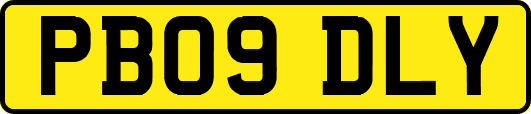 PB09DLY