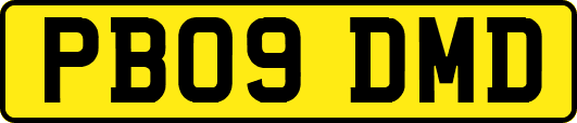 PB09DMD
