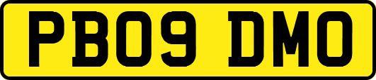 PB09DMO