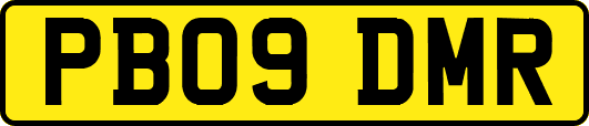 PB09DMR