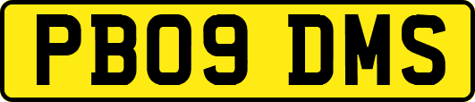 PB09DMS