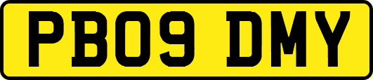 PB09DMY