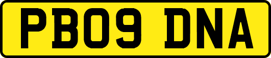 PB09DNA