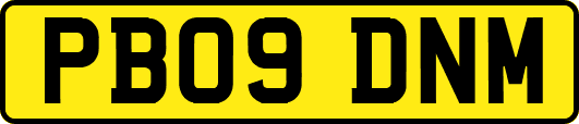 PB09DNM