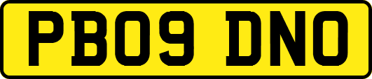 PB09DNO
