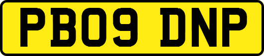 PB09DNP