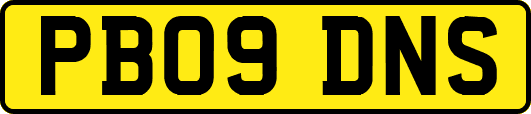 PB09DNS