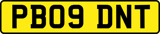 PB09DNT